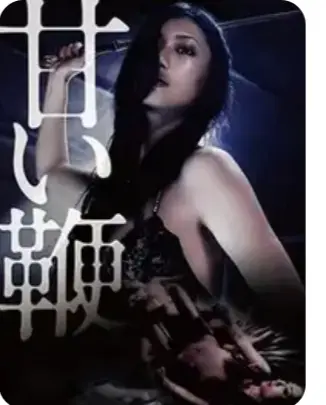 《甜蜜皮鞭》HD高清完整版在线观看-中文字幕未删减资源免费播放-日本经典剧情片甜蜜皮鞭1080P超清画质