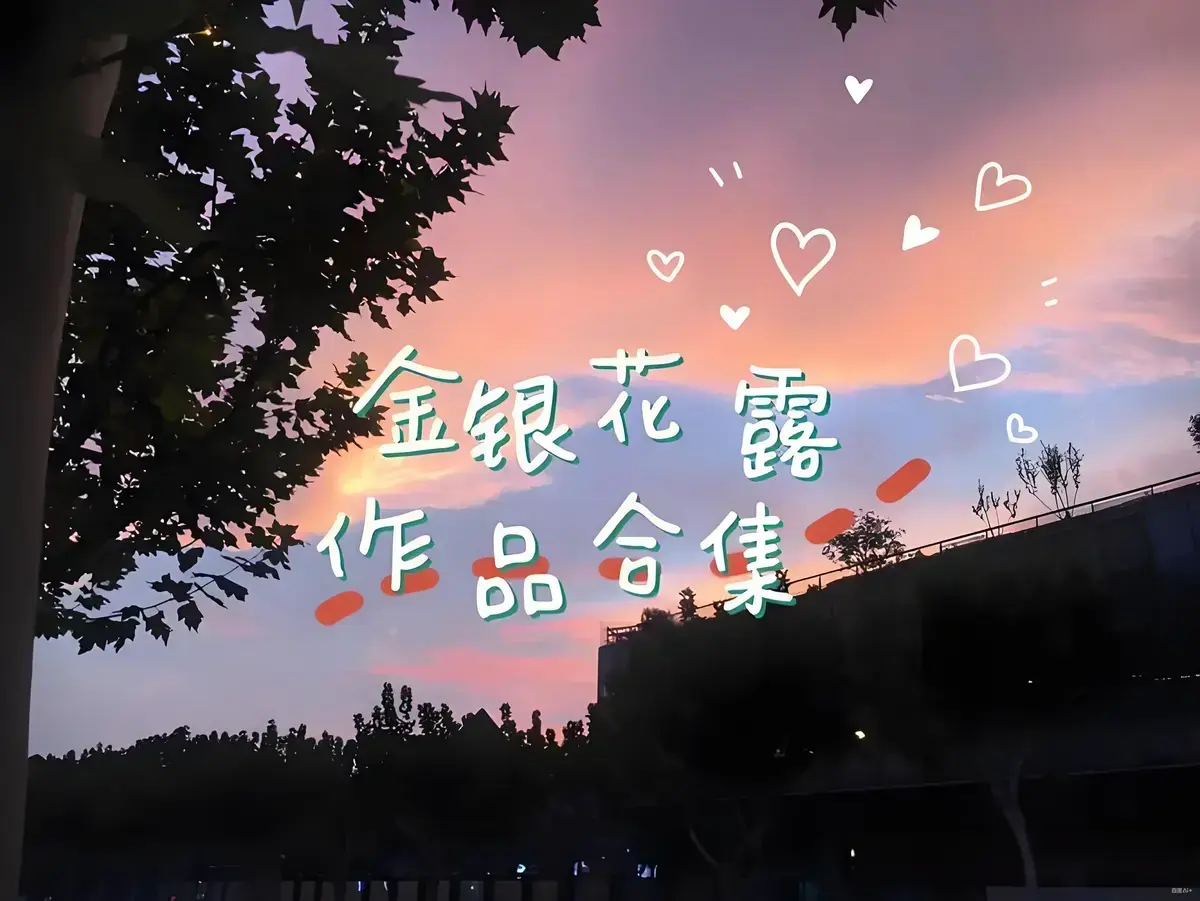 《下厨房》金银花露未删减小说免费看-下厨房全文txt精校版下载-番外篇一碗汤的温度完整收录