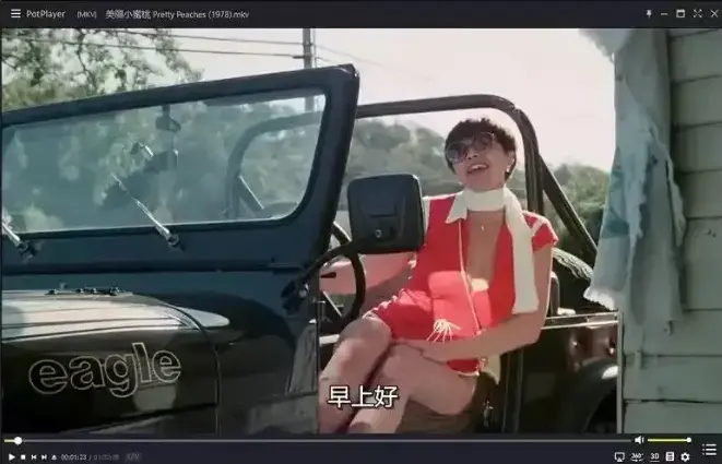 《美丽小蜜桃》未删减完整版-1978年美国复古喜剧HD高清播放-在线观看美丽小蜜桃