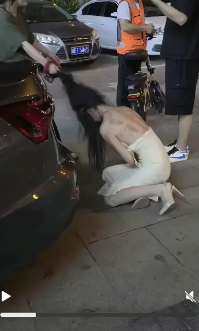 《白裙女子被抓头发跳河》全记录高清播放-白裙女子被揪头发坠河后续完整版-湘E车牌事件始末免费在线看