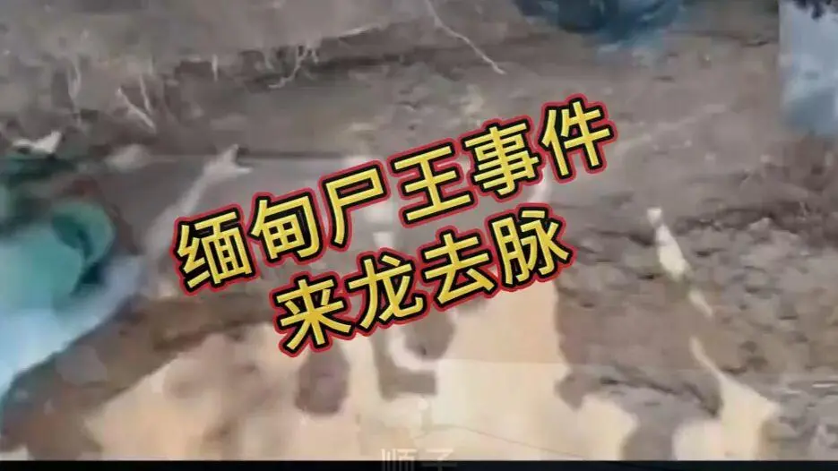 《缅甸僵尸出土事件视频》完整版资源下载-缅北僵尸出土事件始末原视频高清在线观看免费播放