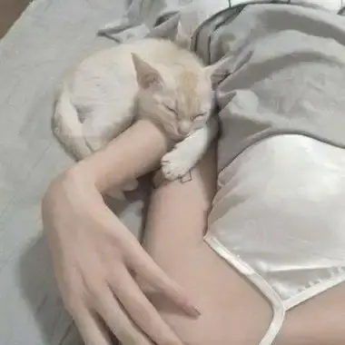 《森泽佳奈》高清全集未删减中文版免费在线看无广告-森泽佳奈1080P蓝光无水印网盘下载-中文配音无广告版资源珍藏